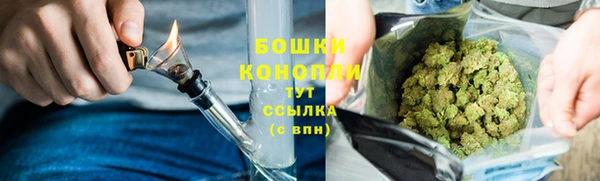 mdma Тайга