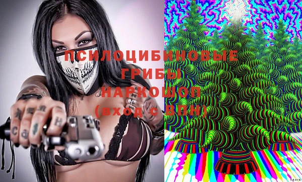 mdma Тайга