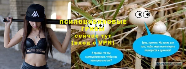 2c-b Тавда
