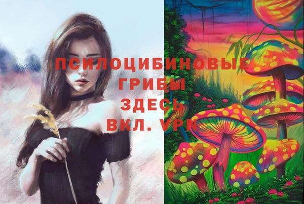 mdma Тайга