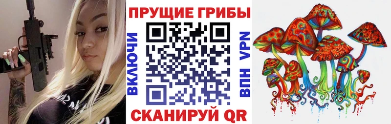 Псилоцибиновые грибы Psilocybe Олонец