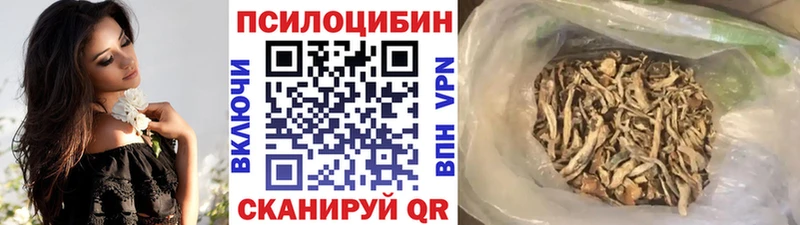 Купить Олонец Псилоцибиновые грибы GOLDEN TEACHER